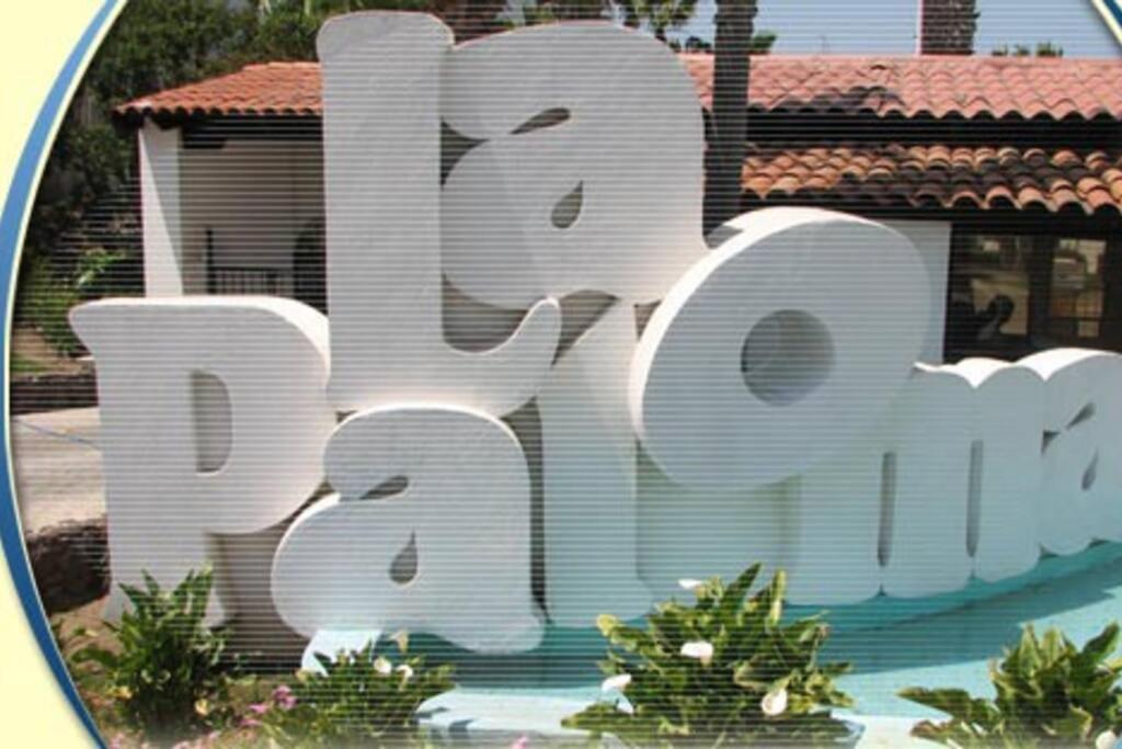Great Swiming Pools Tennis Courts In La Paloma